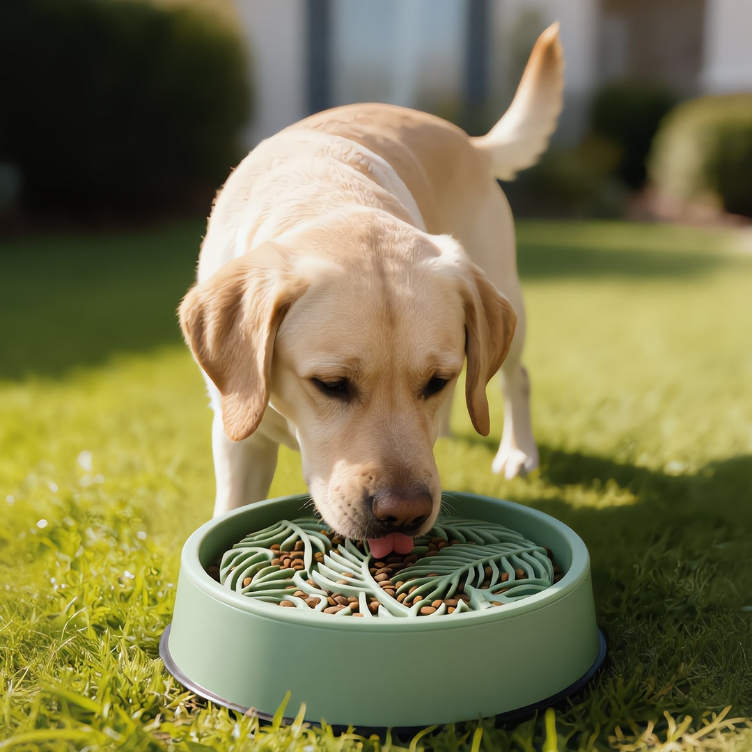 Palm Slow Feeder Bowl