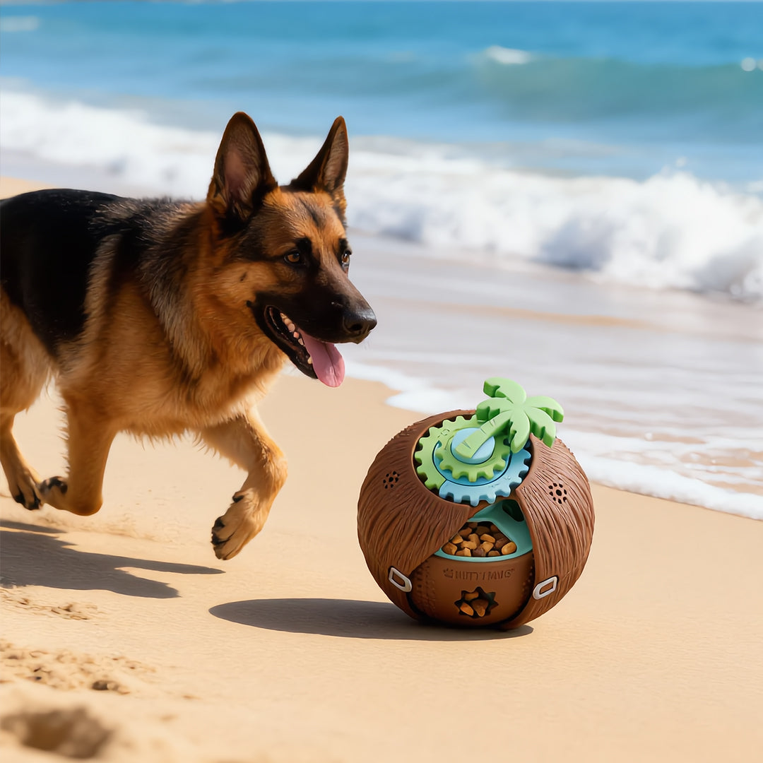 Coconut Puzzle Feeder