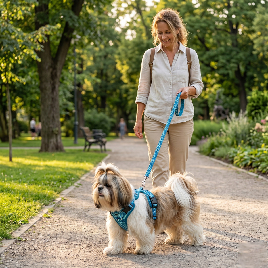 Ocean Wave No-Pull Harness & Leash Set