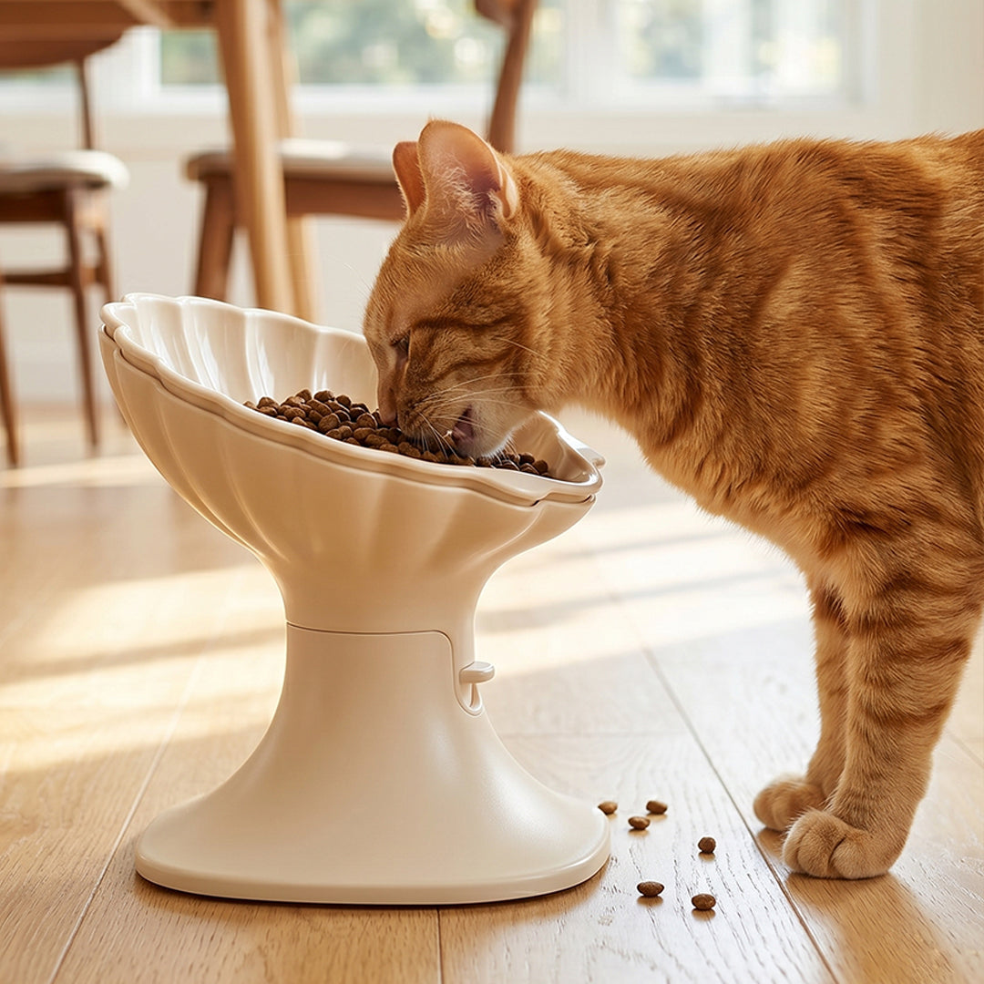Shell Elevated Feeder